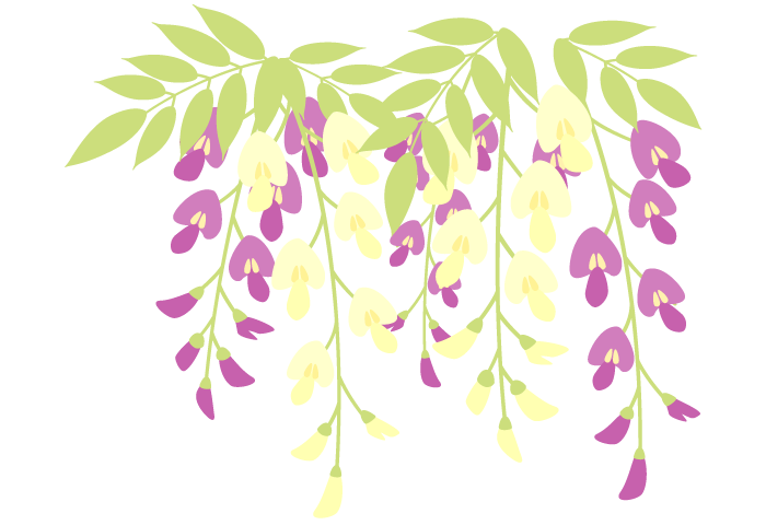 デビッドリンチ藤の花
